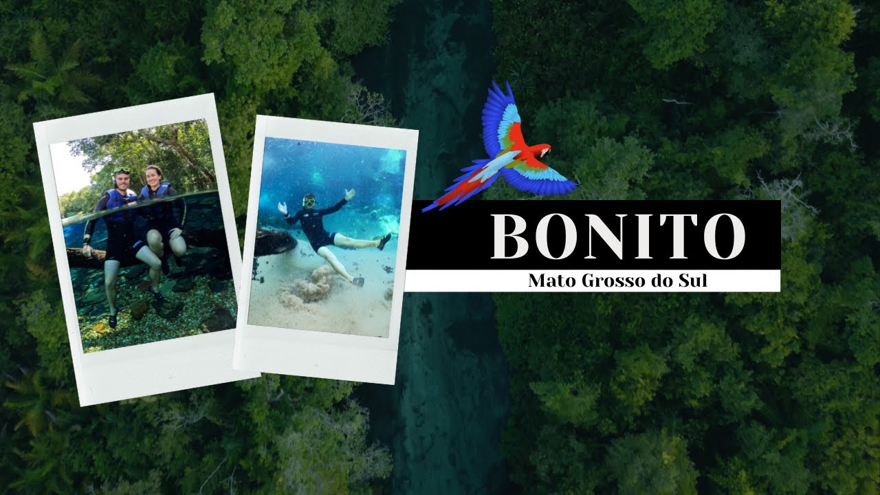 Bonito MS | Cinematic Travel Video | 4K