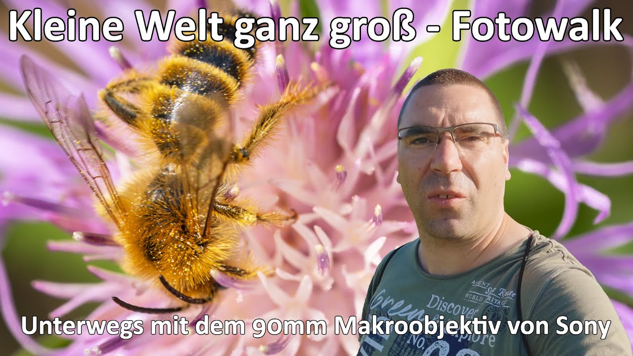 Makrofotografie - Kleine Welt ganz groß - Fotowalk - Sony FE 90mm F2.8 Macro G - Sony A7 IV