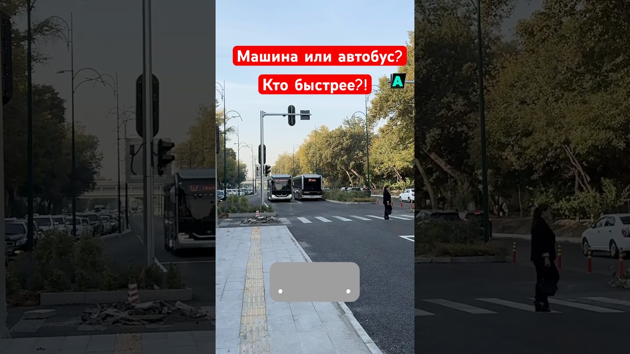 Как работает выделенка на Шота Руставели в Ташкенте #новостиузбекистана