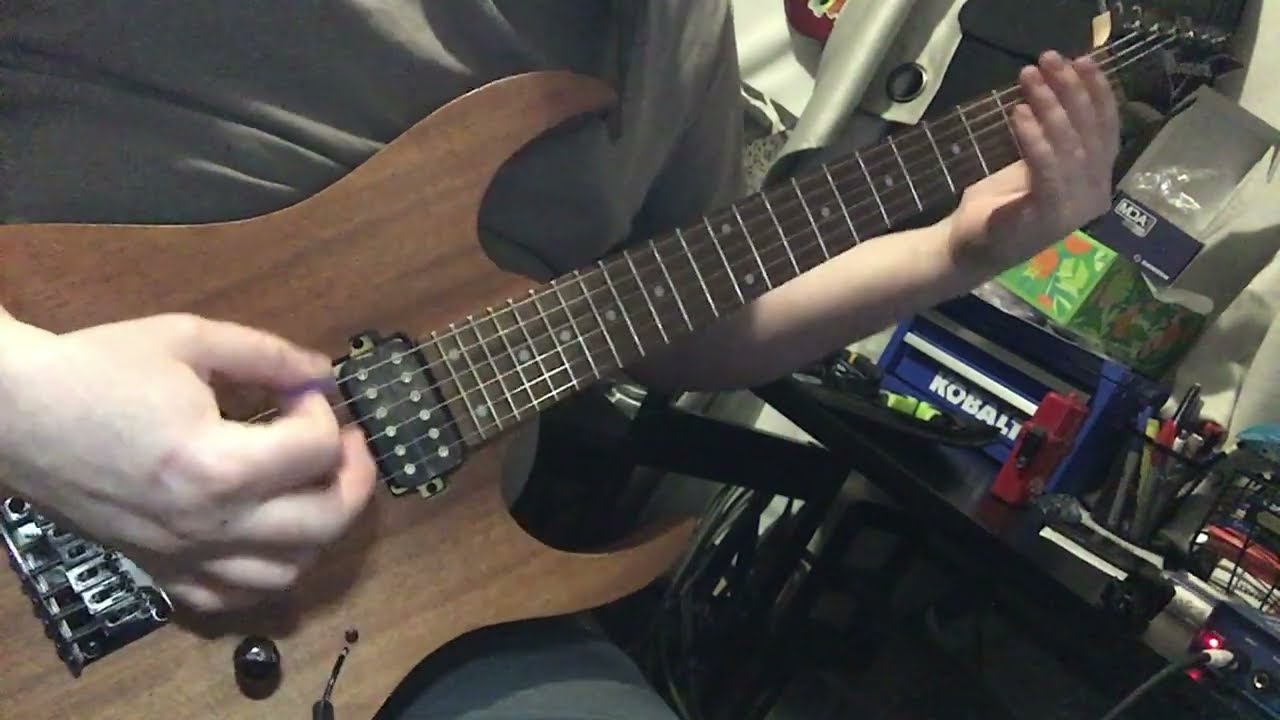 Shreddy McShredsalot -  Ibanez RG421 short demo