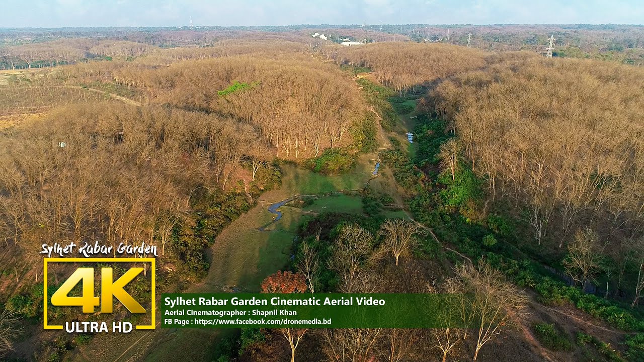 Sylhet Rabar Garden Drone View 4K | সিলেট রাবার বাগান | Drone Media Bangladesh