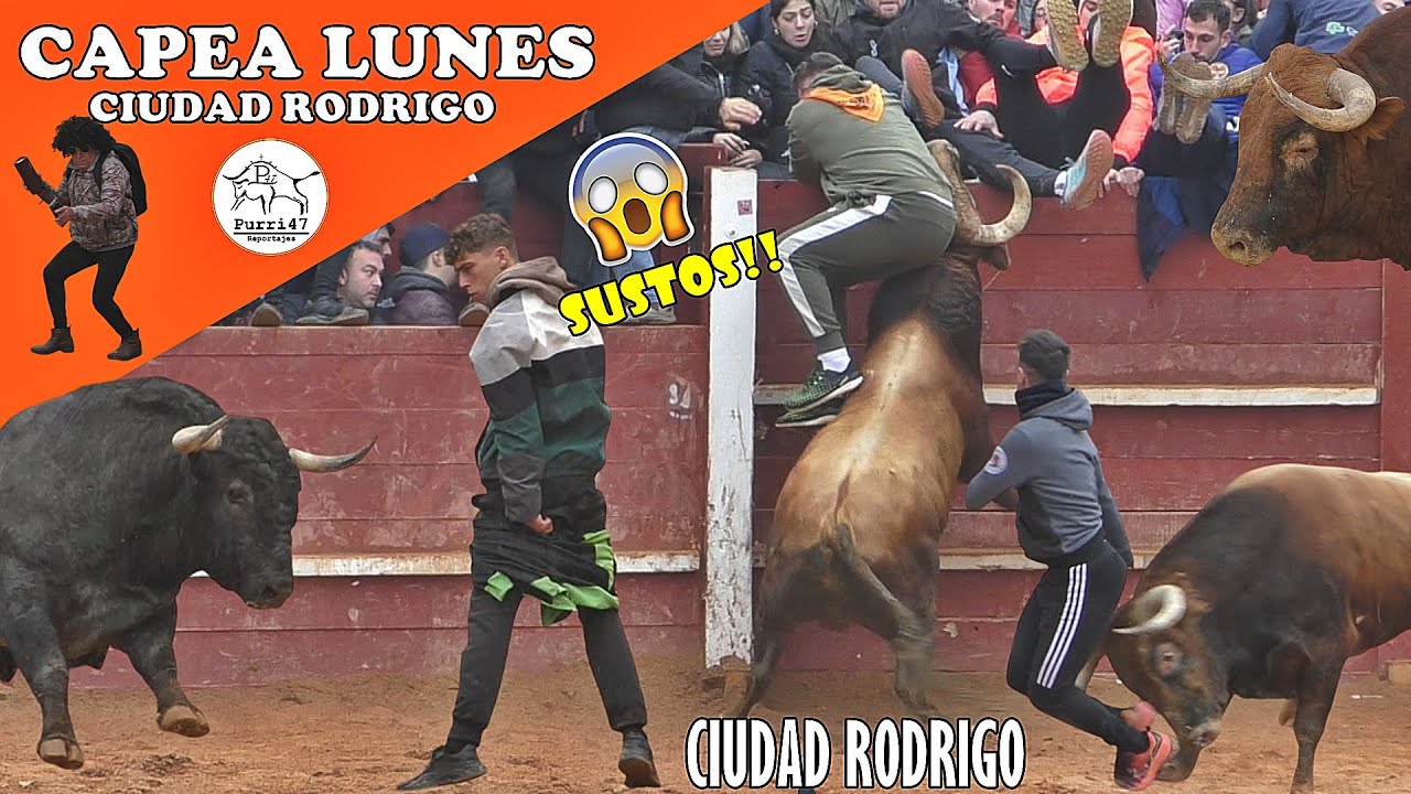 CARNAVAL DEL TORO 2025/!ENCIERRO Y CAPEA CON TOROS DE JOSE CANO 🏆