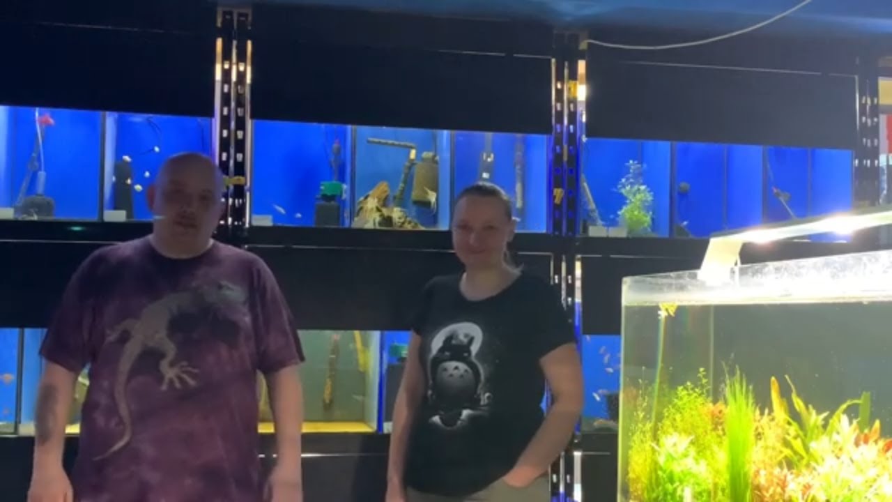 🐟 👩‍⚕️ Sklepy zoologiczne: Sklep zoologiczny Ichtio.pl -  Lecznica dla ryb! 🩺