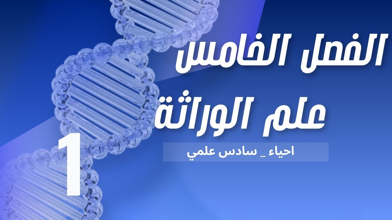 المحاضرة (1) | المقدمة