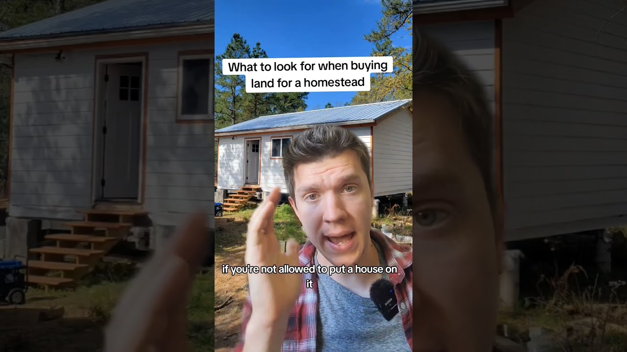 what to look for when buying land to homestead? #homestead #offgrid #offgridsystem