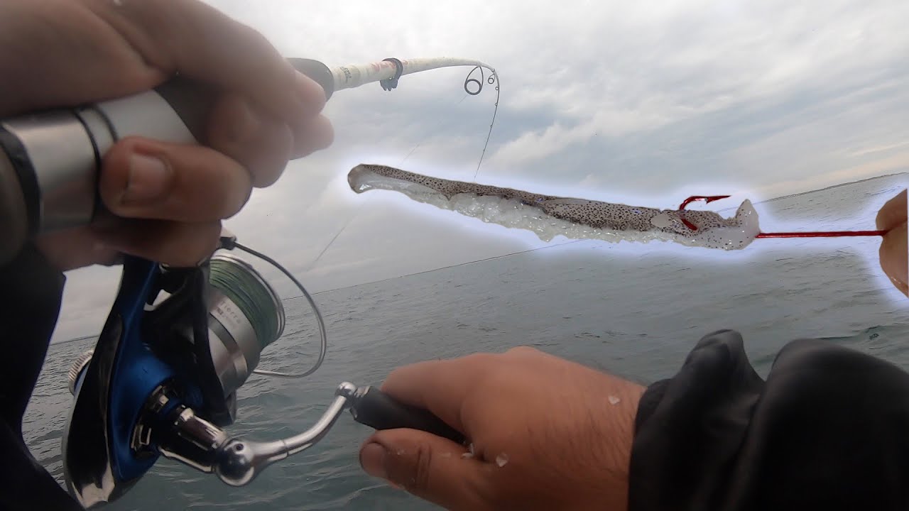 Using Fresh Squid For Bait!!