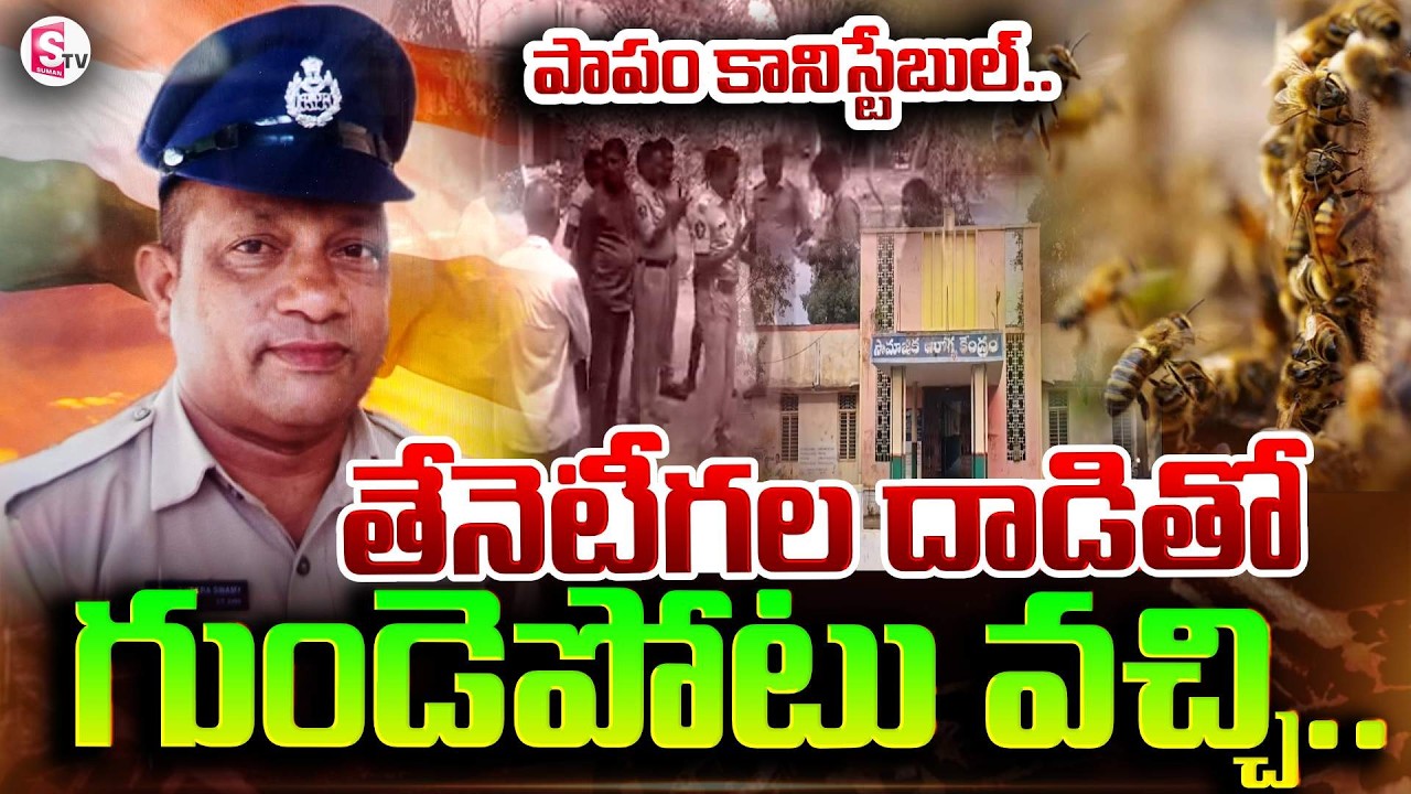 తేనెటీగల దాడితో గుండెపోటు.. | Tragedy at Srisailam Dam | Srisailam Latest News | SumanTV Sai