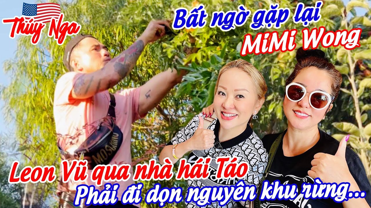 Bất ngờ gặp lại MiMi Wong.. Leon Vũ qua nhà hái Táo phải đi dọn nguyên khu rừng..