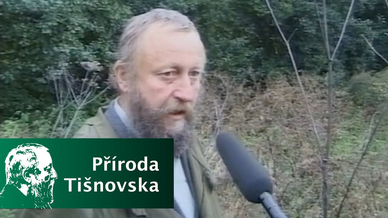 2001/01 - Bolševník