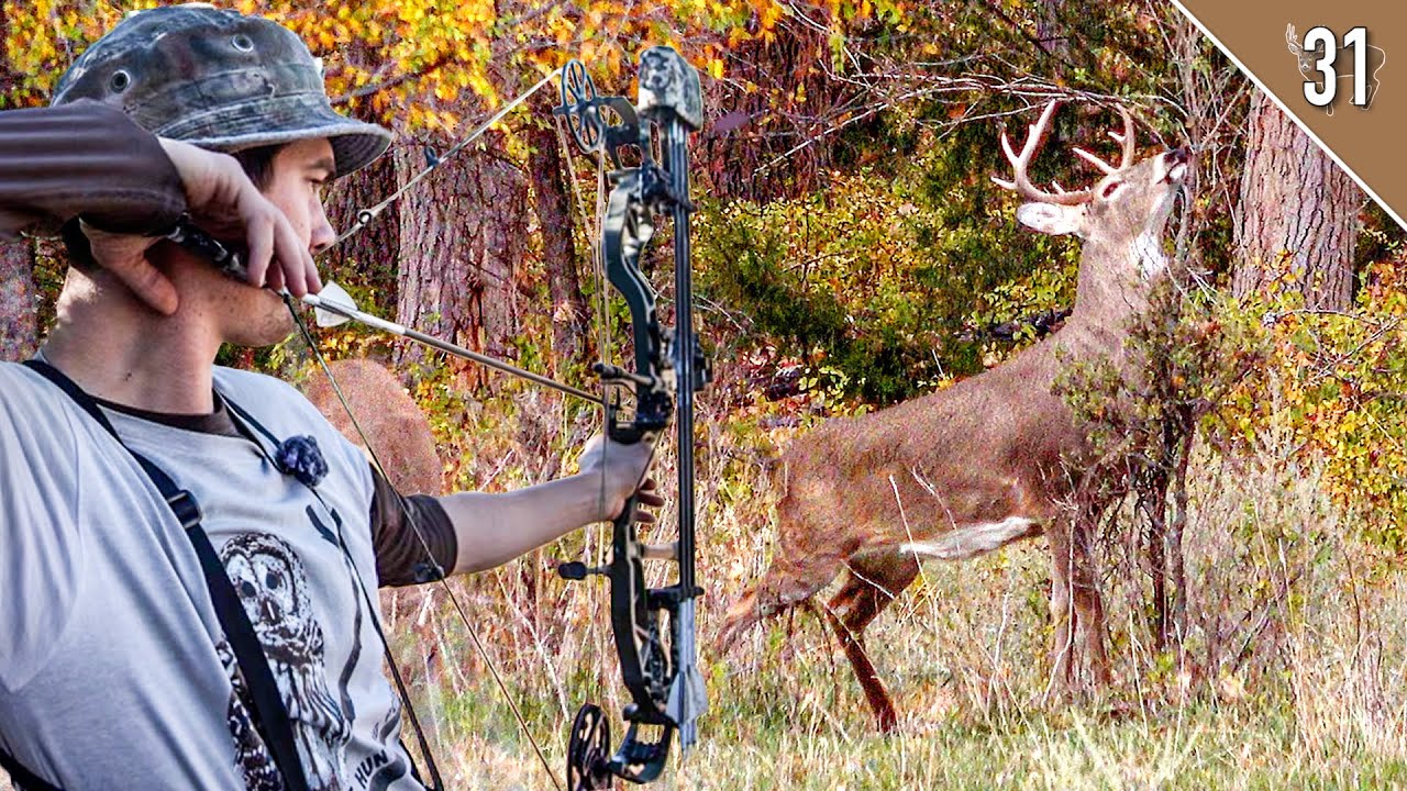 We found the BUCKS!! (Kansas Public Land)