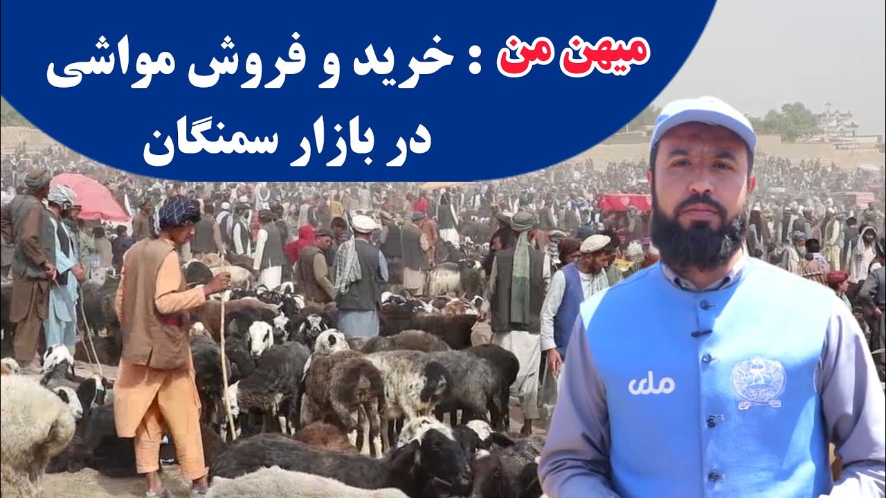 میهن من | خرید و فروش مواشی در بازار سمنگان