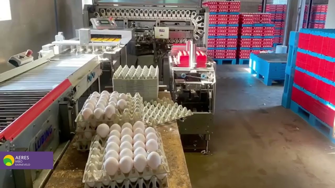 Pilot Training | The Netherlands