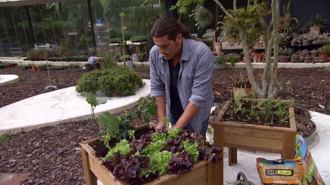 Huerto urbano y ecológico en mesas de plantación - Decogarden