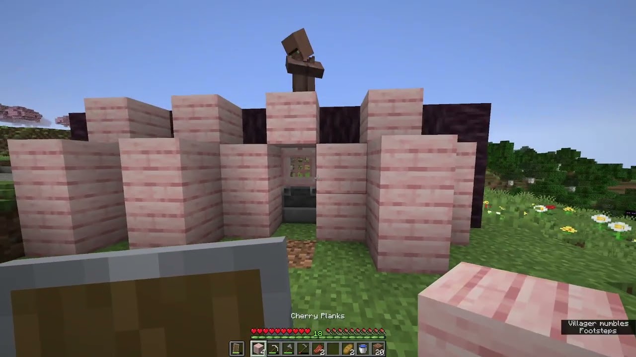 Pookie's first world pt.2  | Minecraft