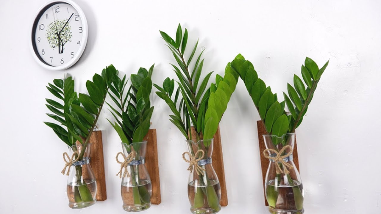 How to Make Indoor Plant Wall Decor Using ZZ Plant in Glass Vase (Easy to Grow and Care)