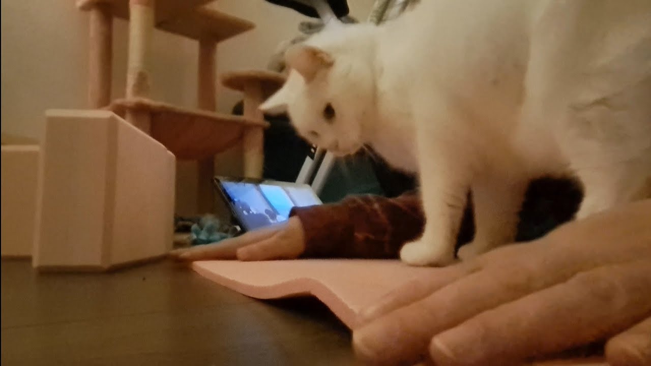 New yoga teacher is very cute but kind of gets in the way?