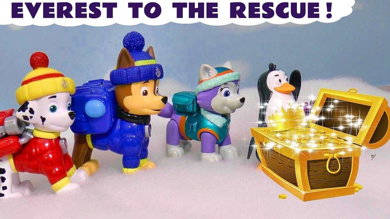 Everest To The Rescue
