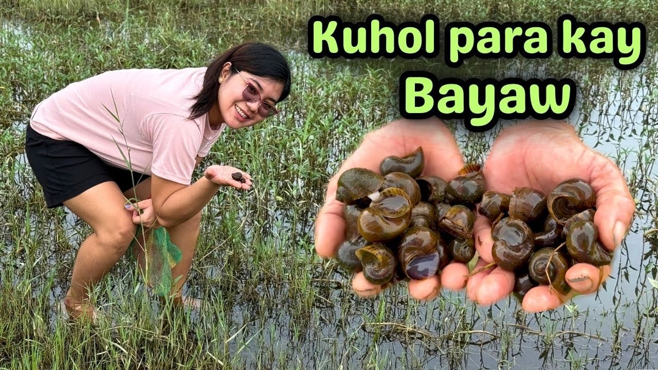 Kumuha kami ng malalaking Kuhol sa Bukid para sa asawa ni Ana | BUHAY PROBINSYA | PHILIPPINES LIFE
