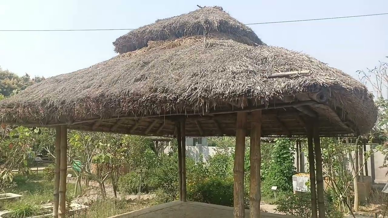 Simple life and high thinking in Krsna Balarama mandir in Mayapur (march 4th,2026)