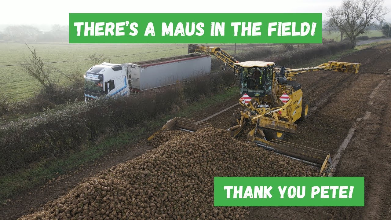 В ПОЛЕ МАУС! ВЗГЛЯД НА ROPA MAUS В ДЕЙСТВИИ — Fenland Farming Adventures
