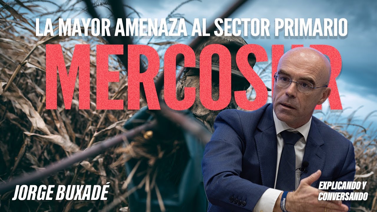La mayor amenaza al sector primario | 🔴❌ACUERDO DE MERCOSUR❌🔴