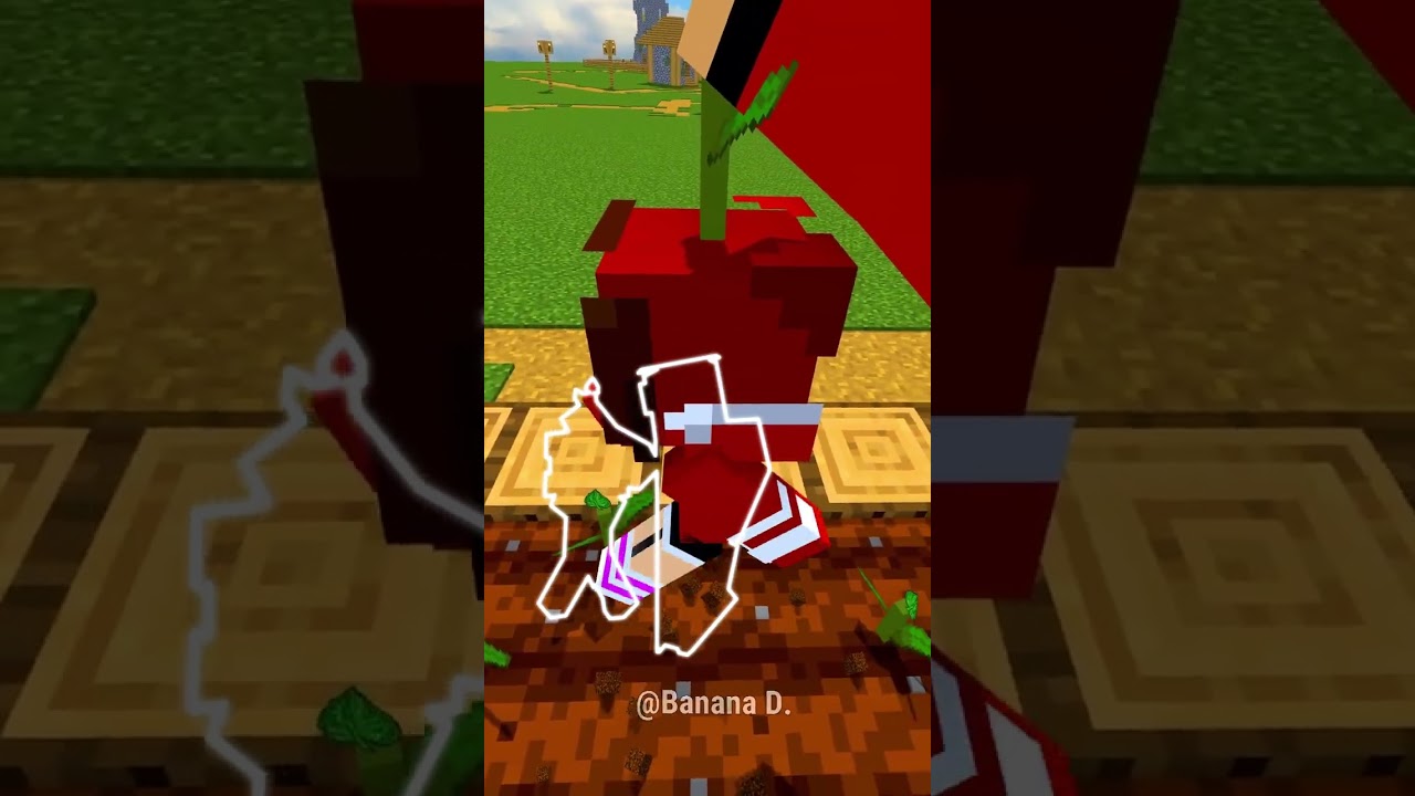 Find farm JJ sister x999
