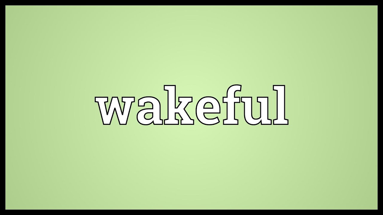 Wakeful Meaning
