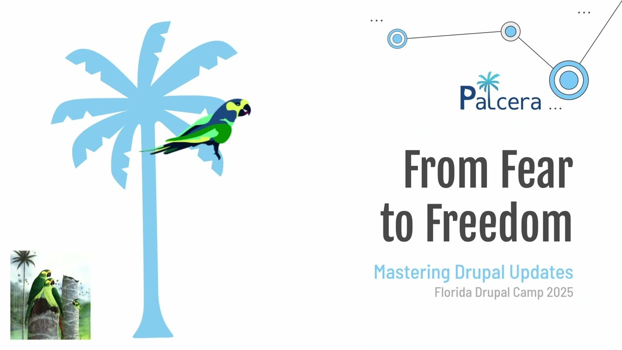 From Fear to Freedom: Mastering Drupal Updates with a Structured Approach