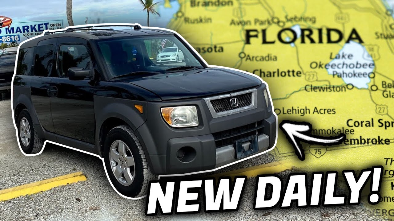 1300 Mile Florida Road Trip to Pick up the NEW DAILY!