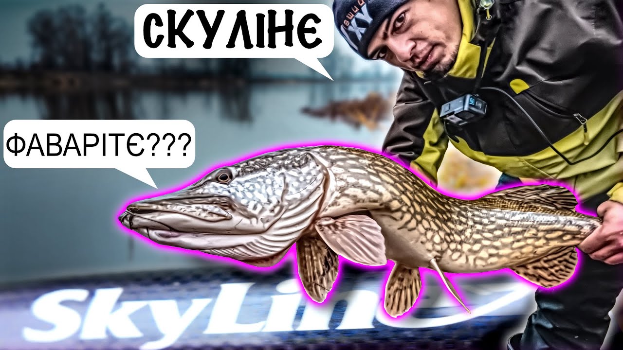 Favorite Skyline 100g + катушка з Алі | Щука на Десні