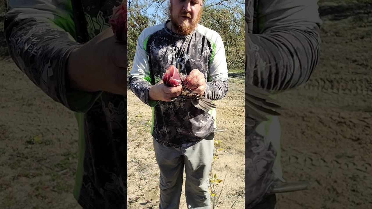 Easiest way to field dress a Grouse! #shorts