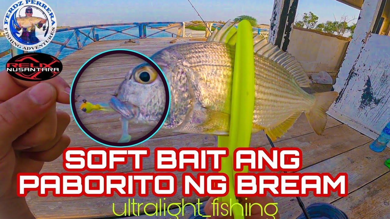 Sofbait mabisang pamain sa sea bream | Ultralight fishing Abu Dhabi UAE
