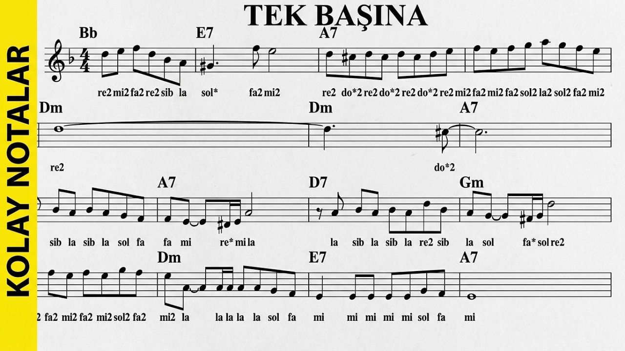 TEK BAŞINA-(Söyle Buldun mu)--Dm--:Guitar,Violin,Keyboard,Flute,Ukulele,Melodica,Recorder,Accordeon.