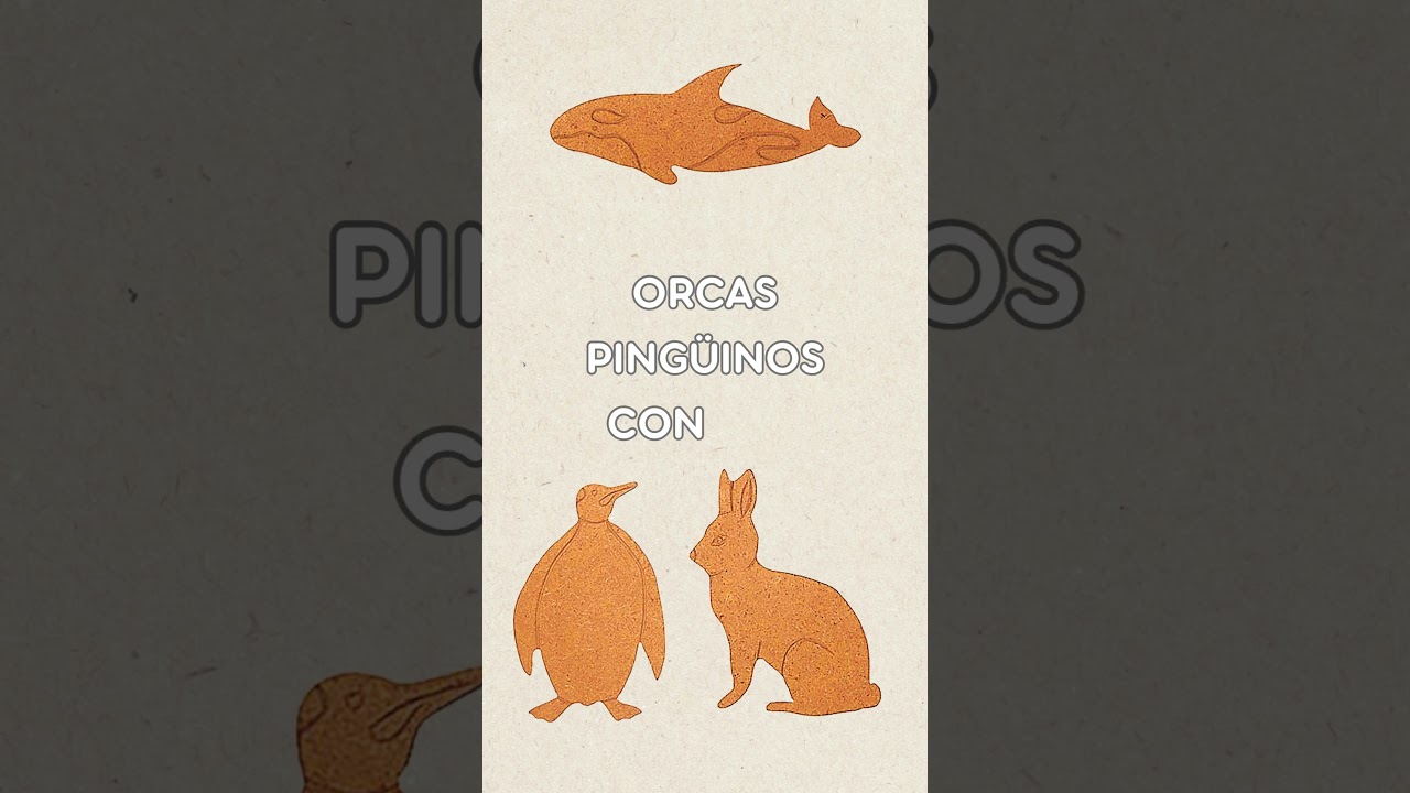 DECORAR TU HOGAR CON SILUETAS DE ANIMALES DM #decoracion