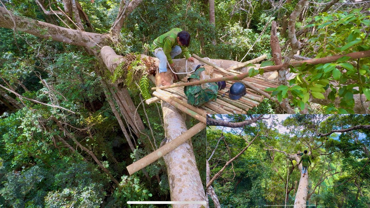 Surviving on Top of a Tree – Every Step Feels Like a Nightmare!