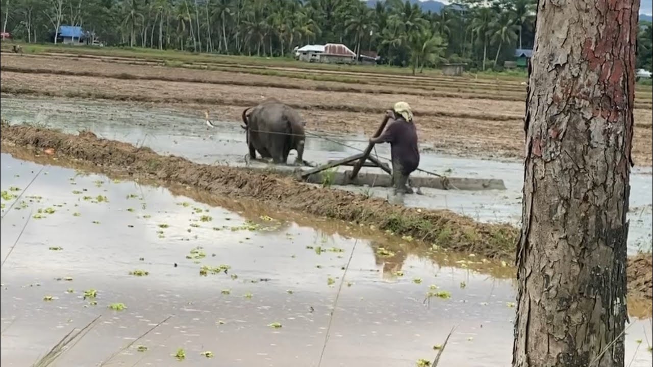 Maka palit lang daw siyag kapi ok nadaw niya 🥺💔 Bahalag pila radaw eh sweldo sa iyahang Pag trabaho