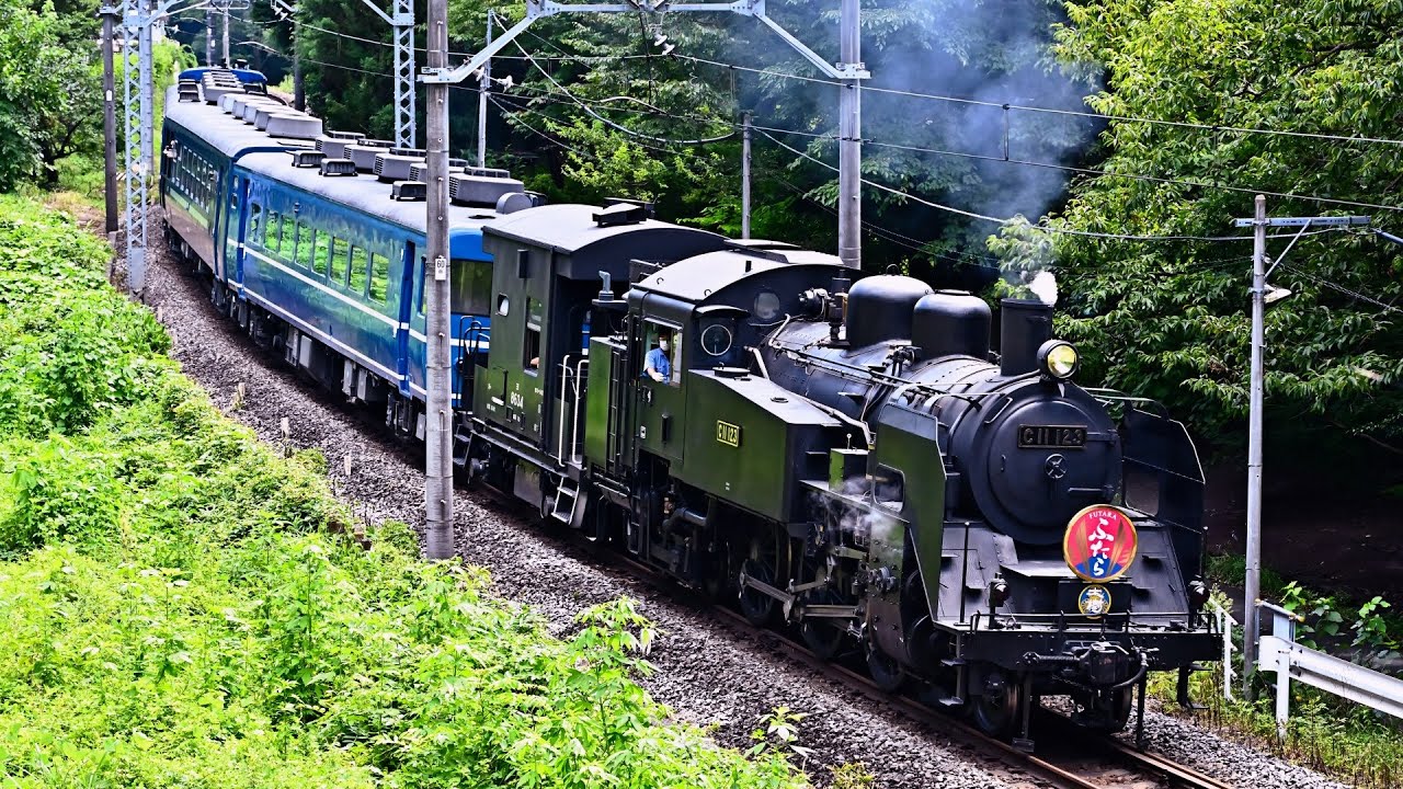 【C11 123】SL大樹「ふたら」【C11 207】夏の終わり SL Taiju end of summer