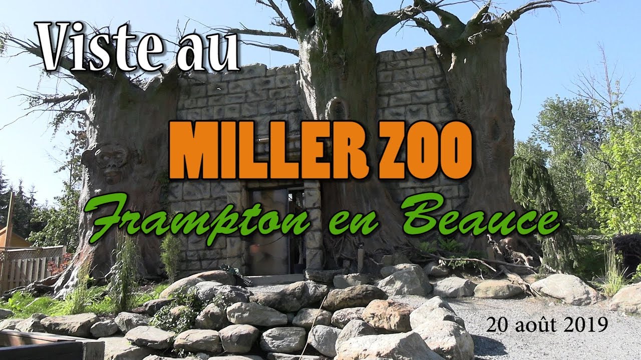 Visite au MILLER ZOO de Frampton en Beauce