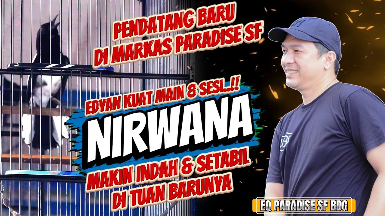 AMUNISI BARU EQ PARADISE SF BANDUNG SEMAKIN MENYALA & SETABIL🔸ANCAMAN BARU DI KANCAH IVENT NASIONAL