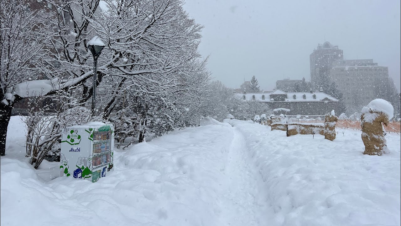 札幌からライブ配信中！