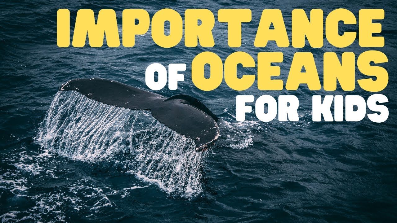 Importance of Oceans for Kids | Learn why Earth's oceans are so significant