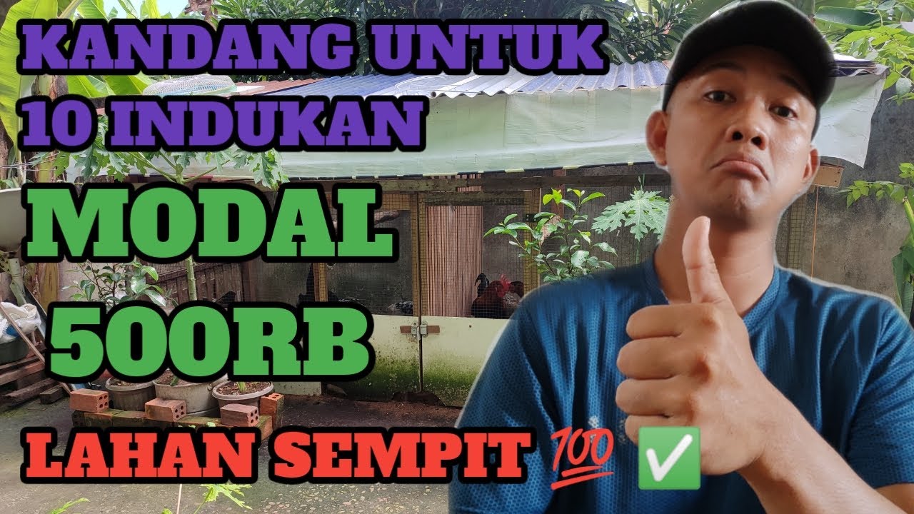 LUAR BIASA ‼️ Contoh Kandang Postal Untuk Indukan ayam kampung di Lahan Sempit | 💯% murah meriah.