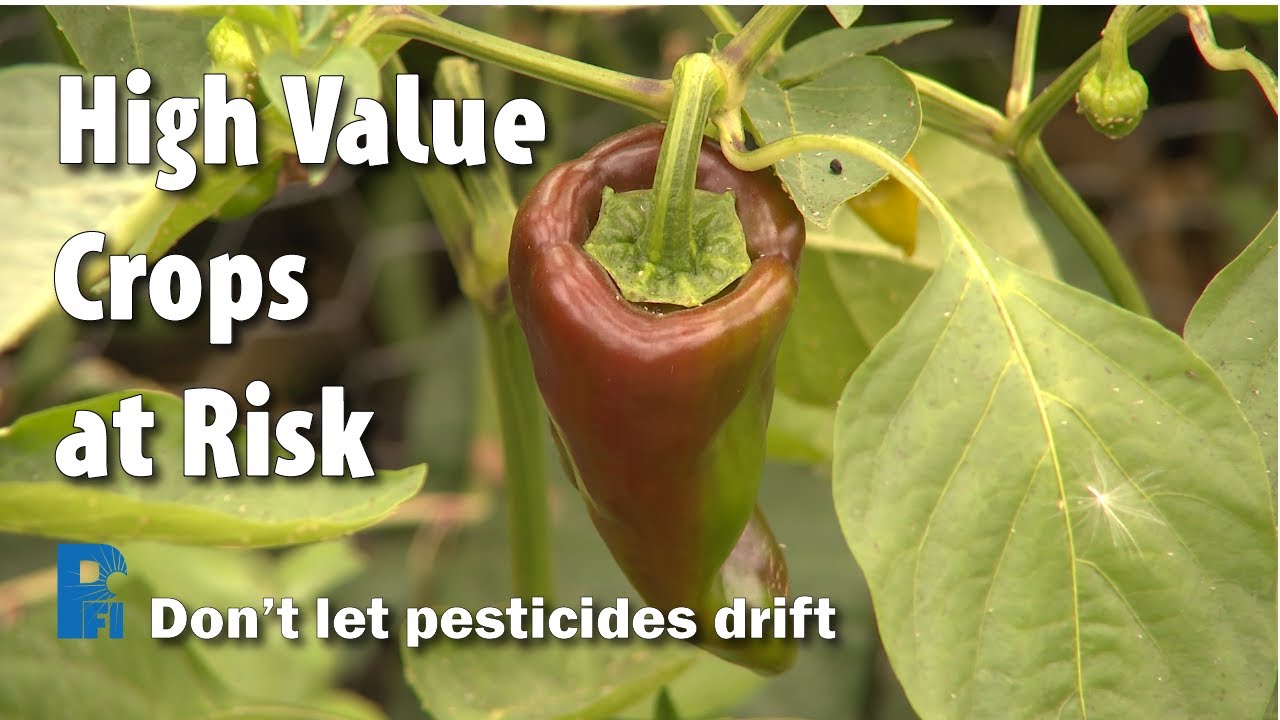 High Value Crops at Risk - Don't Let Pesticides Drift