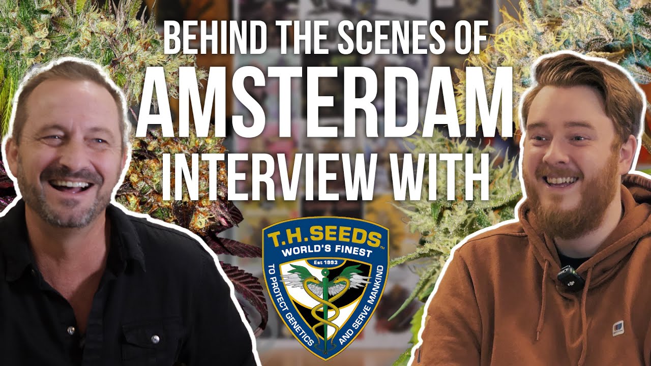 TH Seeds Founder Douglas Mignola about Breeding, Genetics & Amsterdam