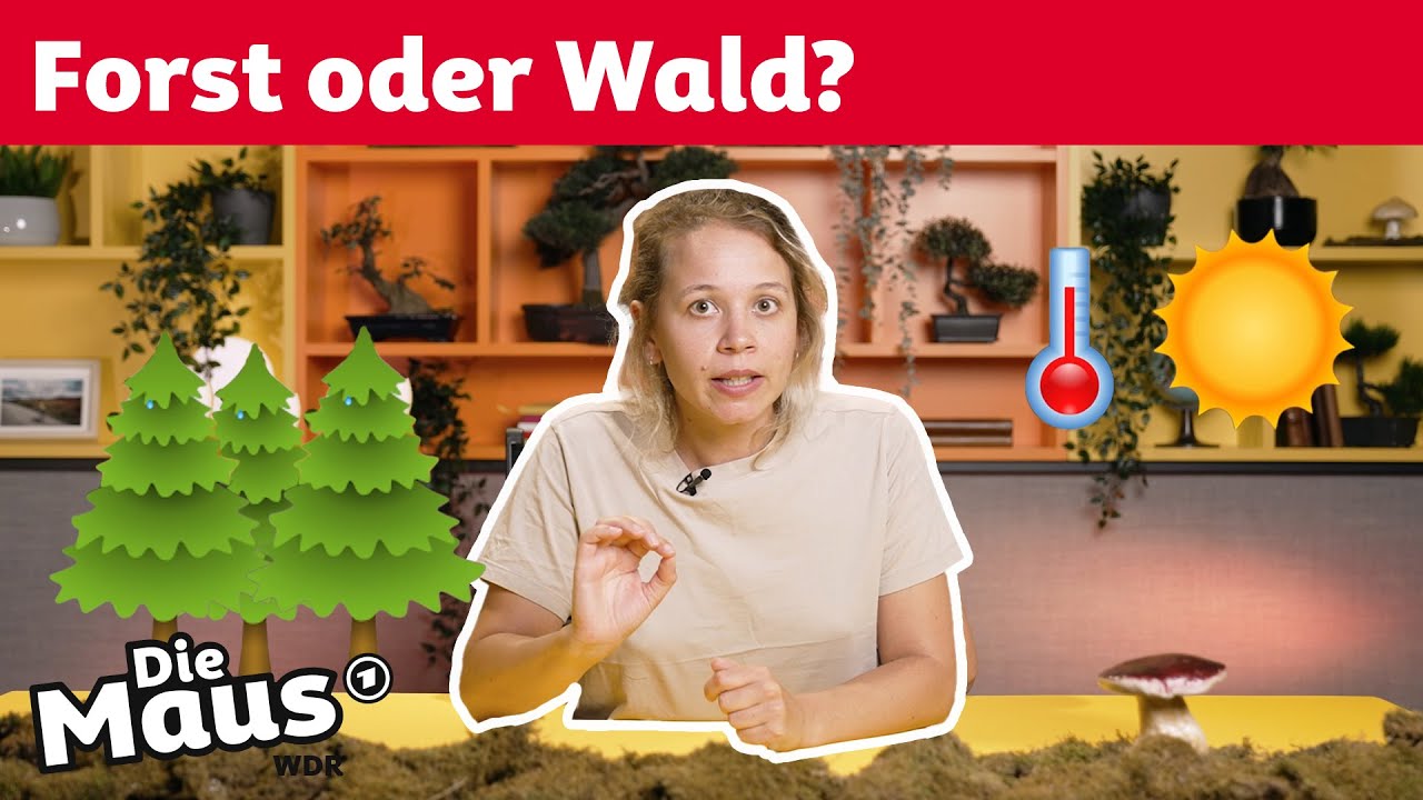 Zerst&ouml;rt der Klimawandel den Wald? | DieMaus | WDR