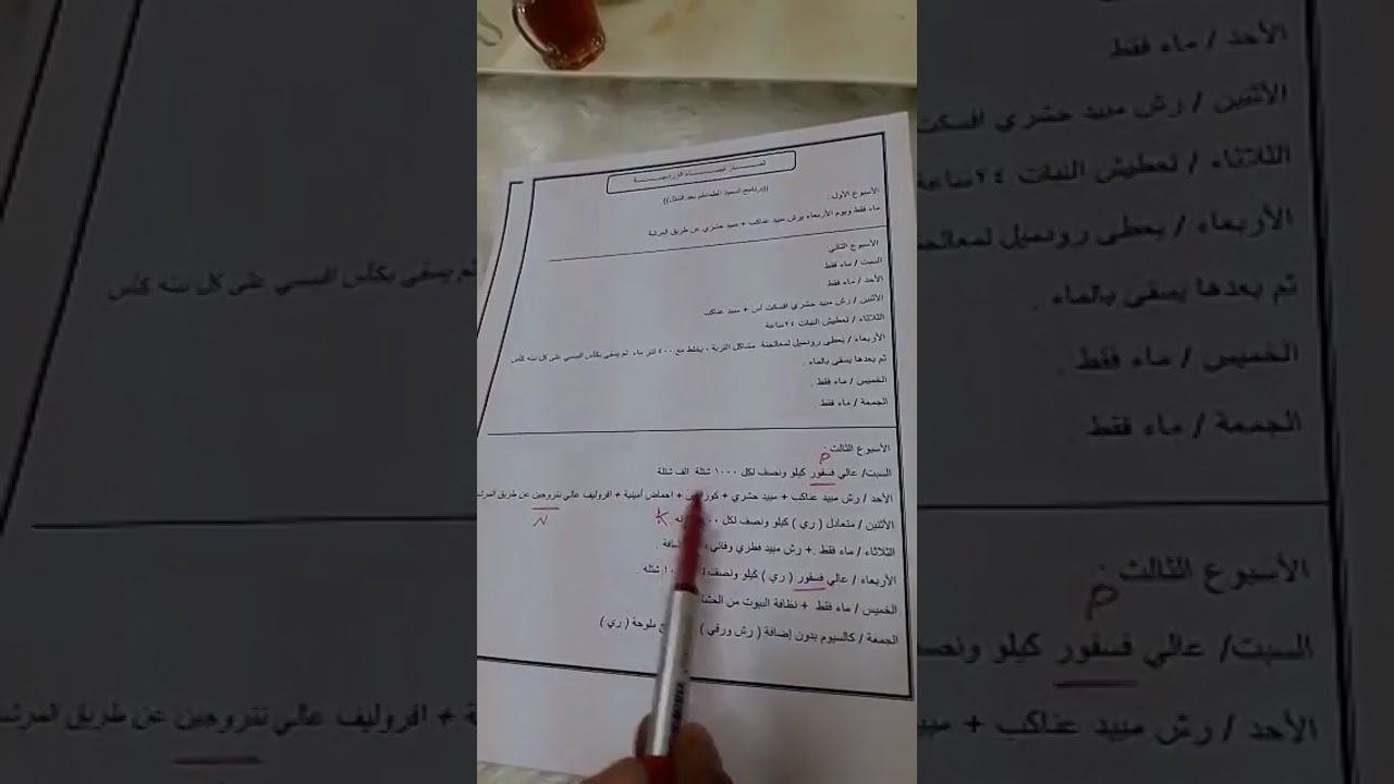 برنامج التسميد لمحصول الطماطم .. ثمار تيماء الزراعية