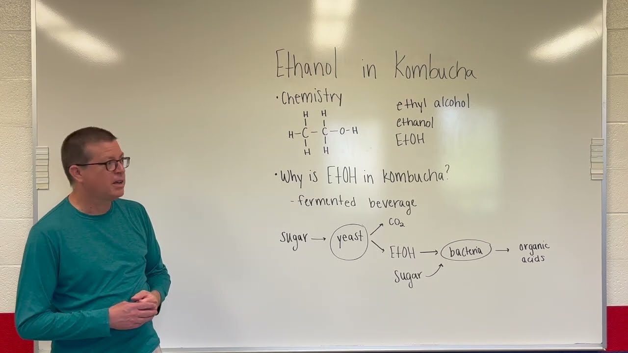 Alcohol in Kombucha