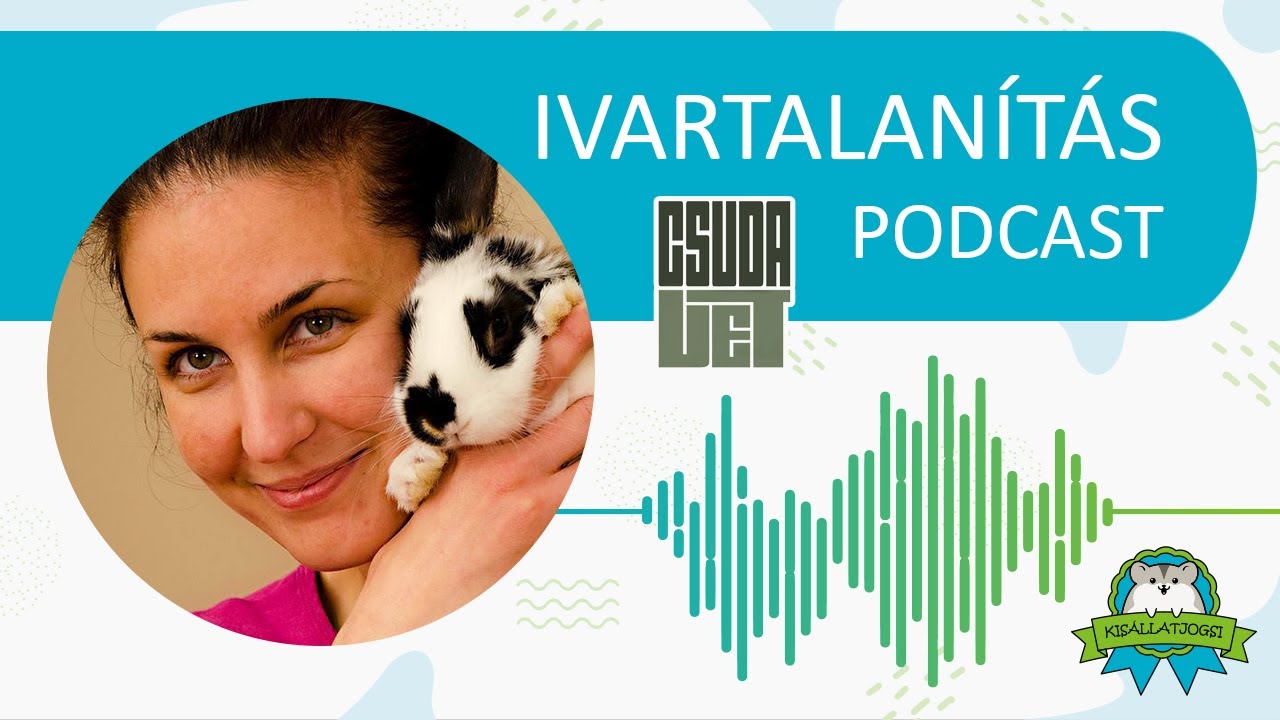A nyulak és a rágcsálók ivartalanítása orvosi szemmel - Kisállatjogsi Podcast