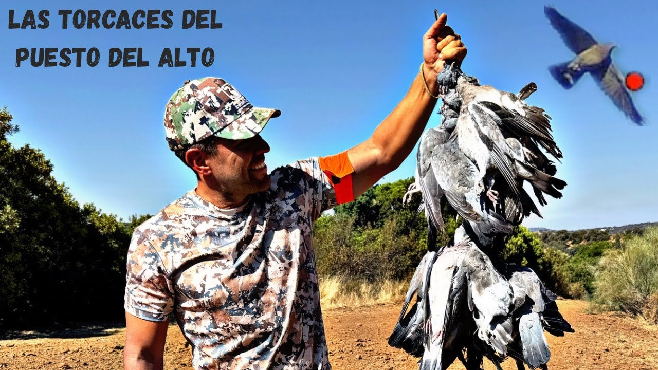 Las Torcaces del puesto del Alto