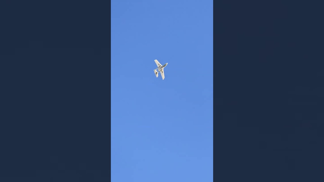 Eclipson inferno 3d printed plane